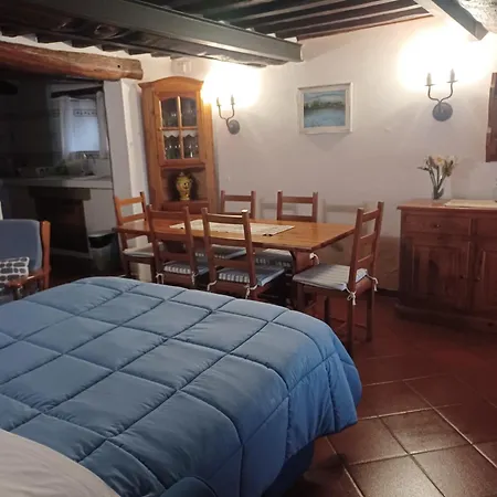 Daniela Apartamento