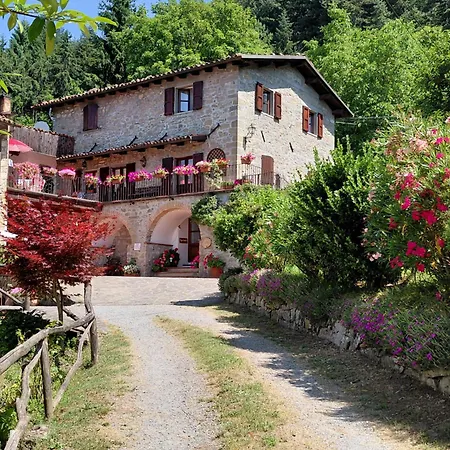 Daniela Castiglione di Garfagnana